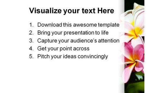 Frangipani Flowers Beauty PowerPoint Template 0910