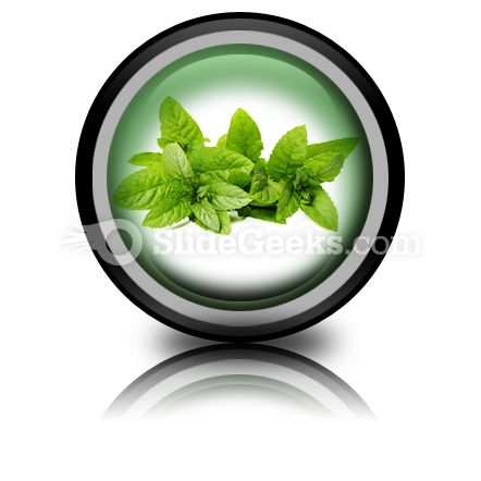 Fresh Green Mint Leaves PowerPoint Icon Cc