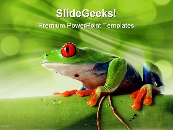 Frog Animals PowerPoint Templates And PowerPoint Backgrounds 0211