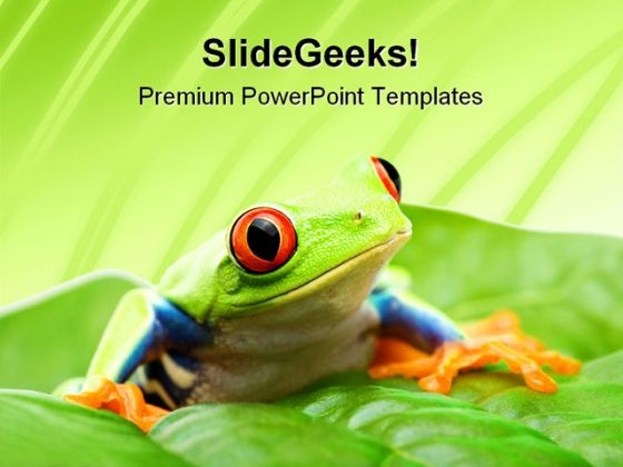 Frog On A Leaf Nature PowerPoint Templates And PowerPoint Backgrounds 0211