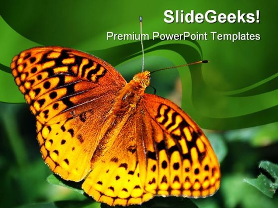 Furry Spotted Spring Animals PowerPoint Templates And PowerPoint Backgrounds 0211