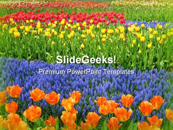 Garden Of Flowers Nature PowerPoint Templates And PowerPoint Backgrounds 0511