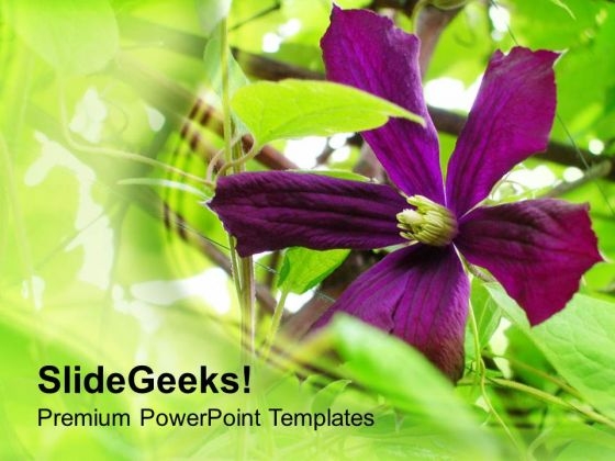 Garden With Purple Flowers Background PowerPoint Templates Ppt Backgrounds For Slides 0613