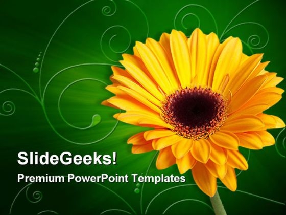 Gerber Yellow Flower Beauty PowerPoint Themes And PowerPoint Slides 0311