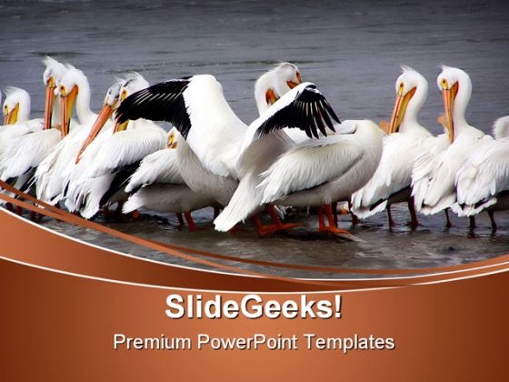 Gimme A Hug Animals PowerPoint Themes And PowerPoint Slides 0511