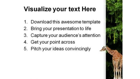 Giraffe Animals PowerPoint Themes And PowerPoint Slides 0211