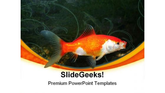 Golden Fish01 Animals PowerPoint Templates And PowerPoint Backgrounds 0211