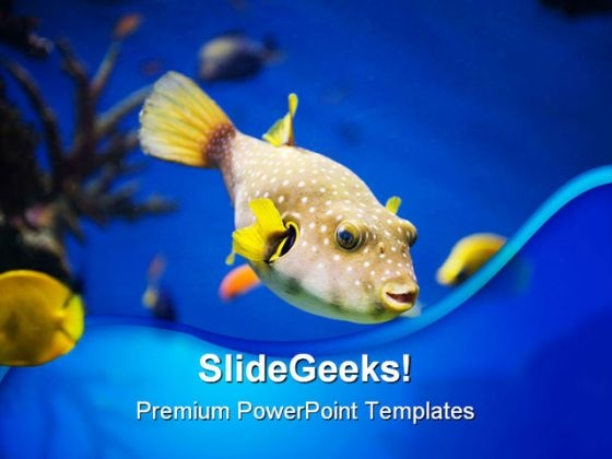 Golden Fish Animals PowerPoint Themes And PowerPoint Slides 0211