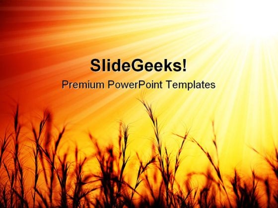 Golden Sunset Over Wheat Field Nature PowerPoint Templates And PowerPoint Backgrounds 0611