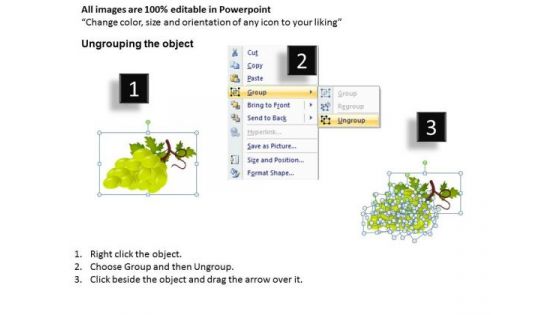 Grapes And Oranges Fruits PowerPoint Templates