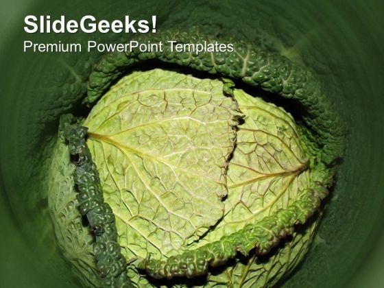 Green Background For Nature Theme PowerPoint Templates Ppt Backgrounds For Slides 0513