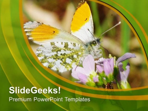 Green Background With Butterfly PowerPoint Templates Ppt Backgrounds For Slides 0613