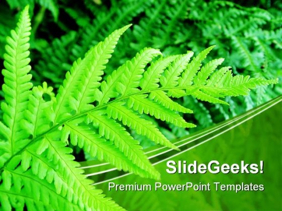 Green Fern Nature PowerPoint Themes And PowerPoint Slides 0411