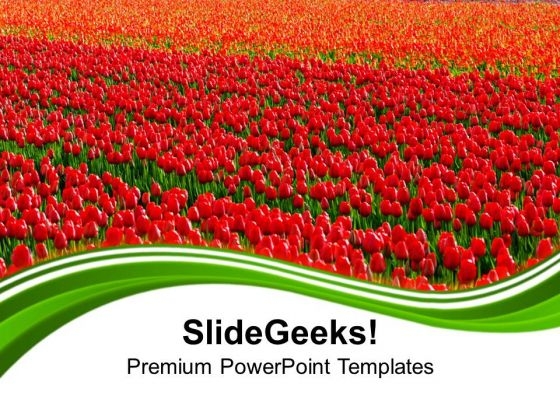 Green Fields Of Red Tulips PowerPoint Templates Ppt Backgrounds For Slides 0213