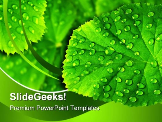 Green Leaf With Drops Nature PowerPoint Templates And PowerPoint Backgrounds 0511
