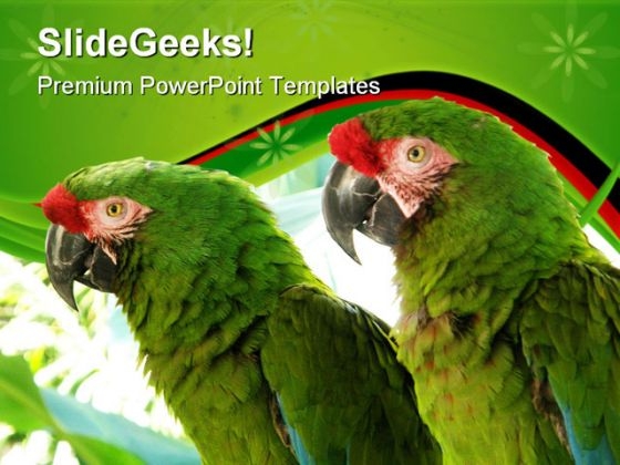 Green Parrots Animals PowerPoint Templates And PowerPoint Backgrounds 0611
