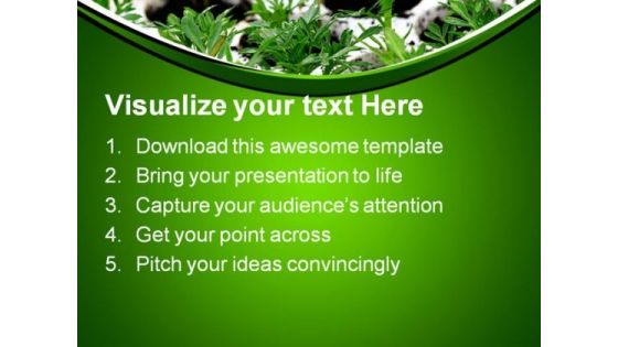Green Plants Nature PowerPoint Templates And PowerPoint Backgrounds 0411