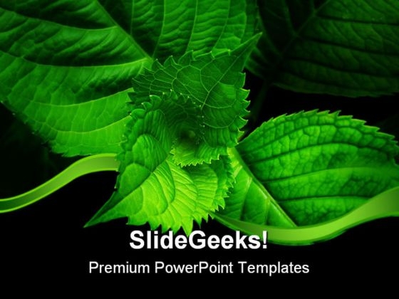 Green Spiral Leaves Nature PowerPoint Templates And PowerPoint Backgrounds 0511
