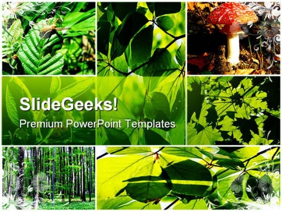 Green Summer Forest Collage Nature PowerPoint Templates And PowerPoint Backgrounds 0611