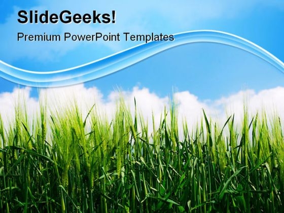 Green Wheat Plant Nature PowerPoint Templates And PowerPoint Backgrounds 0511