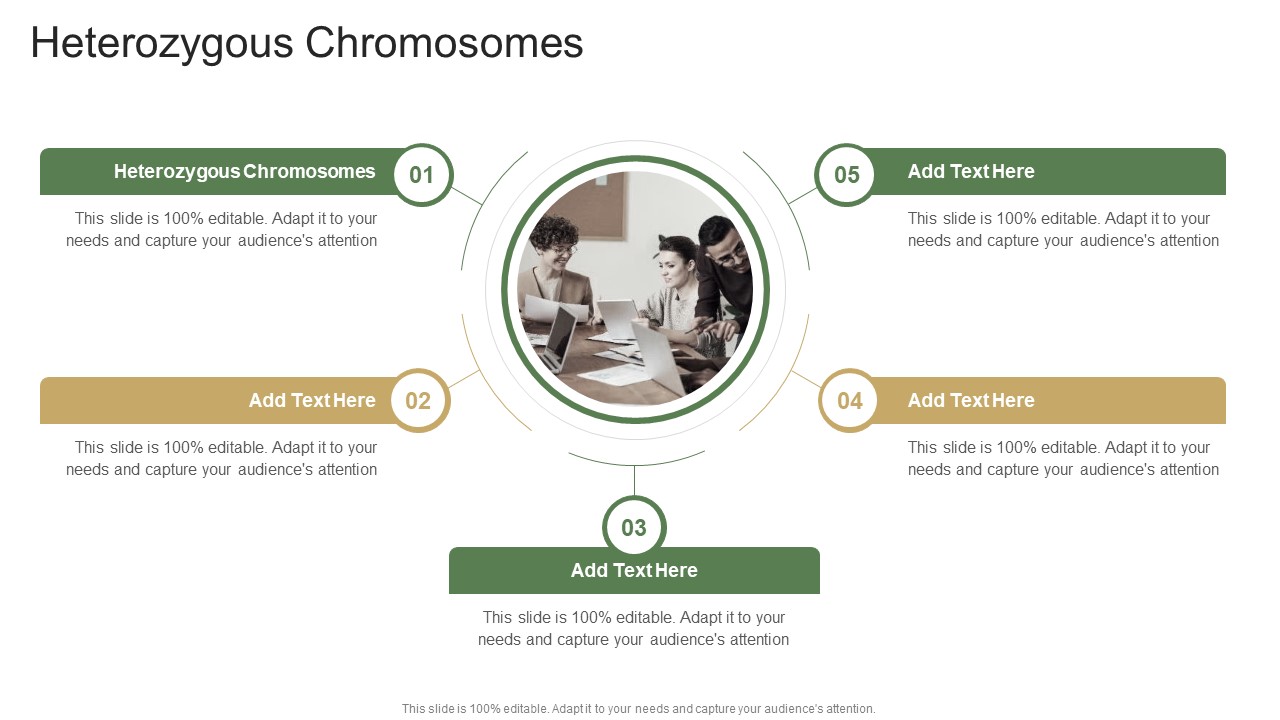 Heterozygous Chromosomes In Powerpoint And Google Slides Cpb
