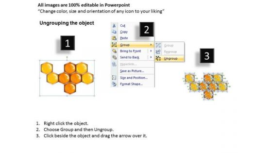 Hexagon Network Honey Combs PowerPoint Slides And Ppt Templates