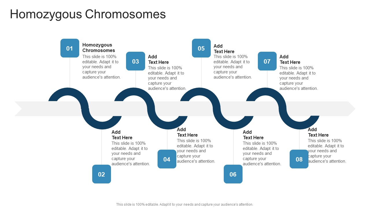 Homozygous Chromosomes In Powerpoint And Google Slides Cpb