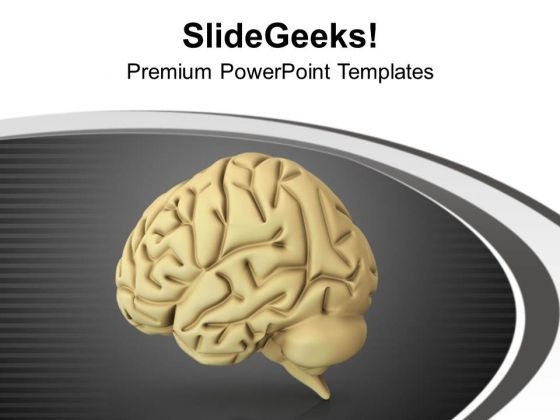 Human Brain Is Home Of Ideas PowerPoint Templates Ppt Backgrounds For Slides 0713