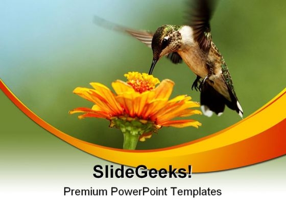 Humming Bird01 Animals PowerPoint Themes And PowerPoint Slides 0211