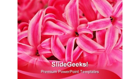 Hyacinth Beauty PowerPoint Templates And PowerPoint Backgrounds 0311
