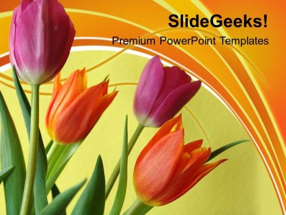 Illustration Of Colorful Tulip Flowers PowerPoint Templates Ppt Backgrounds For Slides 0213