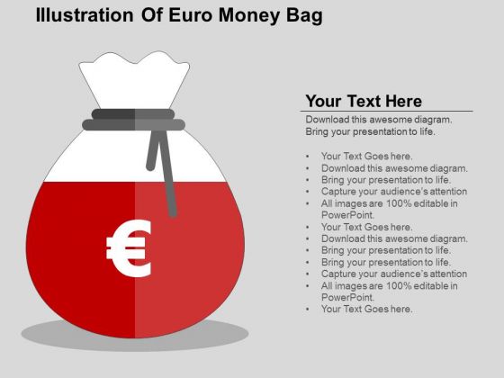 Illustration Of Euro Money Bag PowerPoint Templates