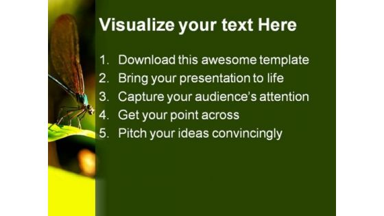 Insect Macro Laos Animals PowerPoint Themes And PowerPoint Slides 0211