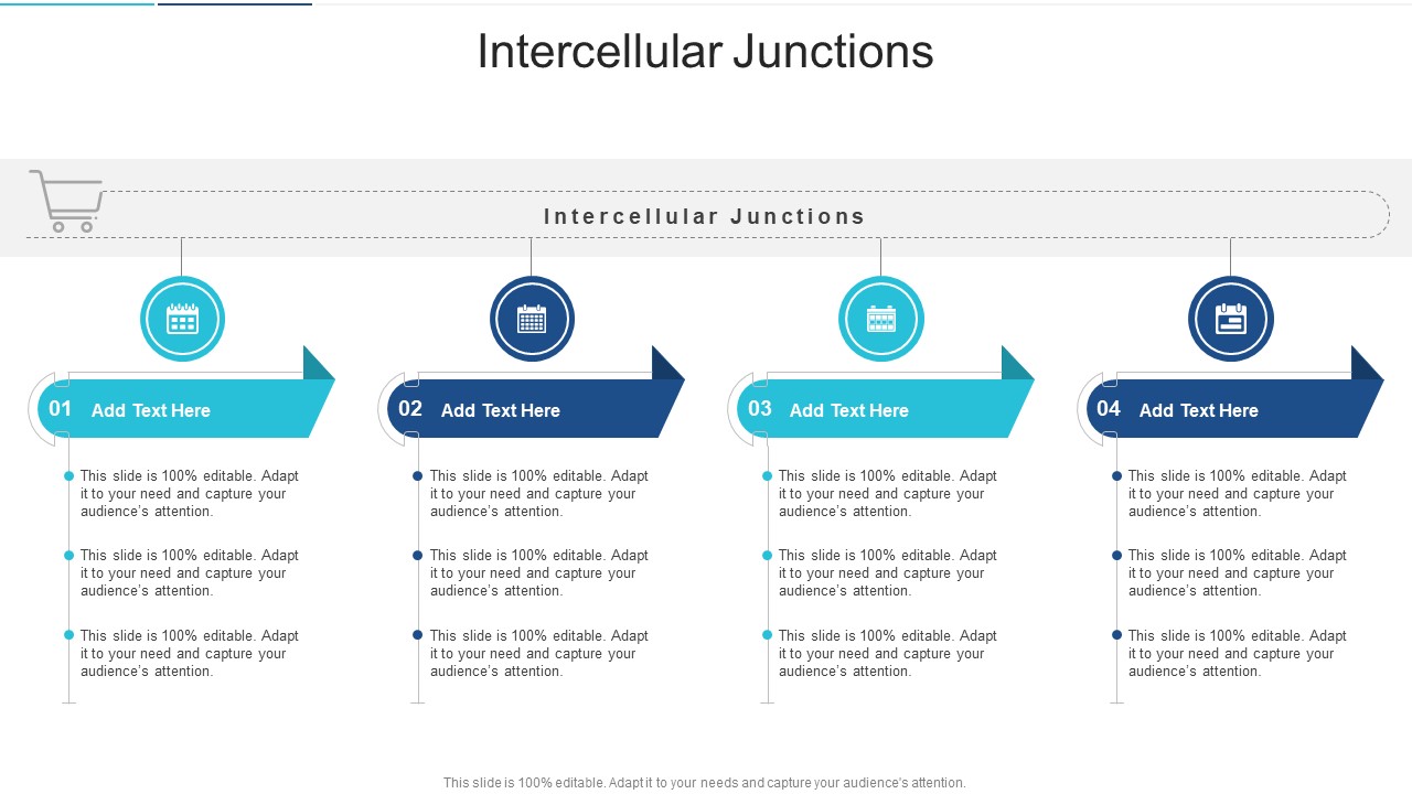 Intercellular Junctions In Powerpoint And Google Slides Cpb