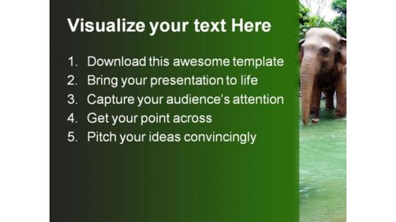 Jungle Elephant Animals PowerPoint Themes And PowerPoint Slides 0211