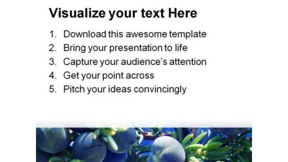 Juniperus Nature PowerPoint Templates And PowerPoint Backgrounds 0211
