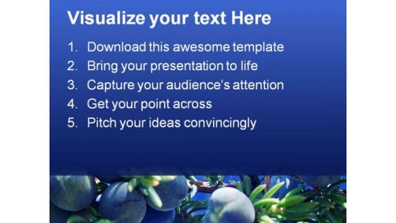 Juniperus Nature PowerPoint Templates And PowerPoint Backgrounds 0211