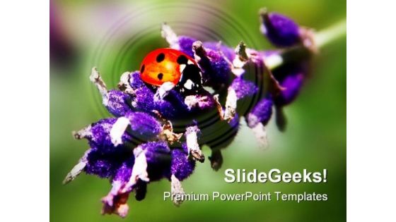 Lady Bird Animals PowerPoint Templates And PowerPoint Backgrounds 0311