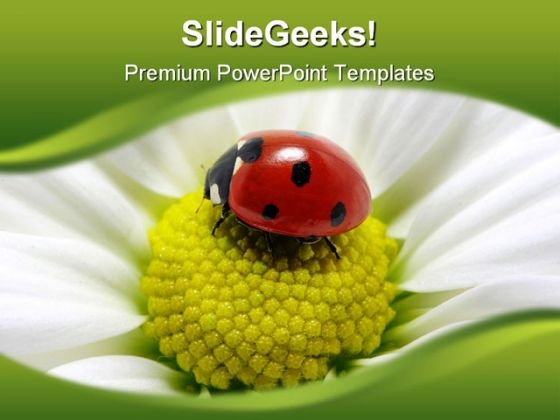 Lady Bug On Flower Animals PowerPoint Themes And PowerPoint Slides 0211
