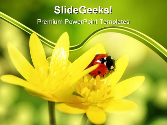 Ladybird On Yellow Petals Nature PowerPoint Templates And PowerPoint Backgrounds 0211