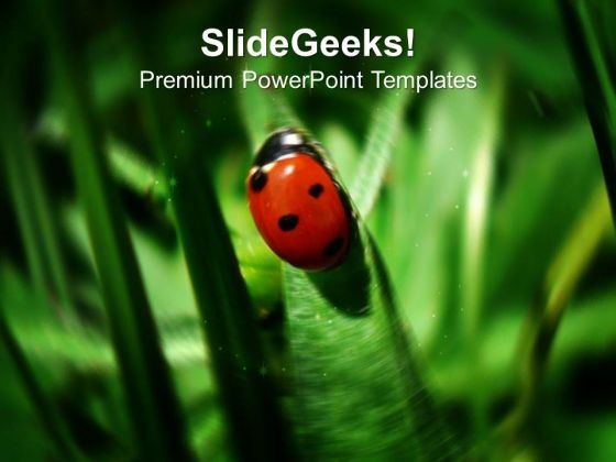 Ladybug Showa Luck And Prosperty PowerPoint Templates Ppt Backgrounds For Slides 0513