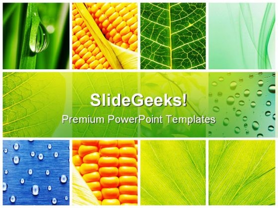 Leaves Collage Nature PowerPoint Themes And PowerPoint Slides 0811