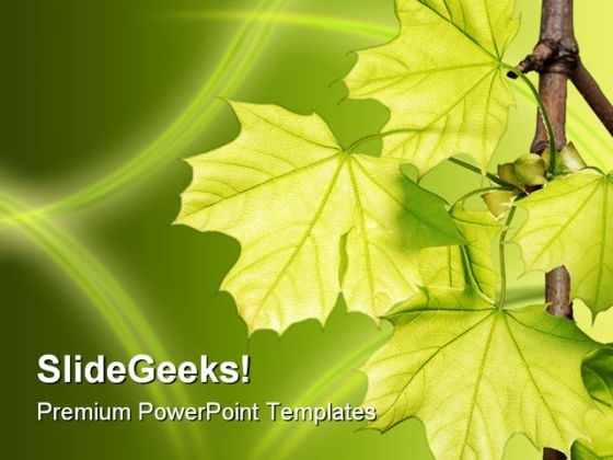 Leaves Green Nature PowerPoint Template 1110