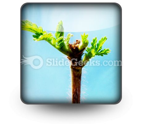 Beautiful Green Leaves PowerPoint Icon