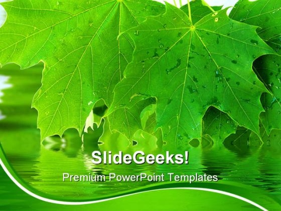 Leaves Nature PowerPoint Templates And PowerPoint Backgrounds 0311