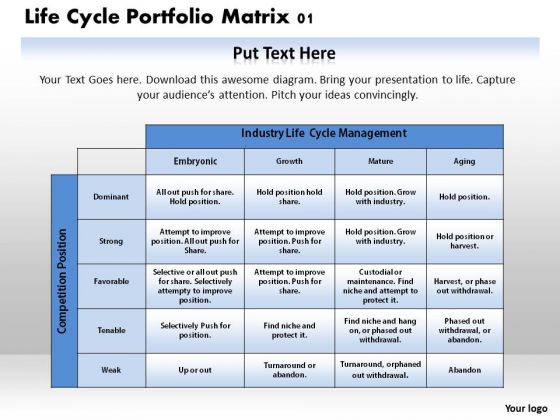 Life Cycle Portfolio Matrix 01 Business PowerPoint Presentation