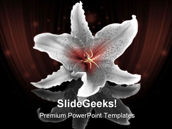 Lily Flower Beauty PowerPoint Backgrounds And Templates 1210