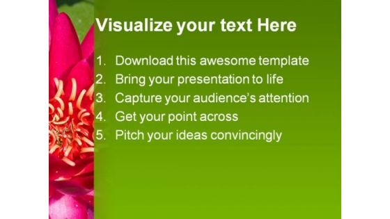 Lotus Flower Beauty PowerPoint Templates And PowerPoint Backgrounds 0311