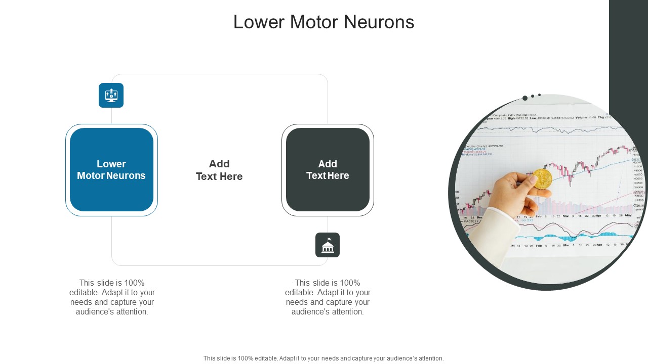 Lower Motor Neurons In Powerpoint And Google Slides Cpb