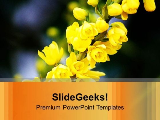 Mahonia Flowers For Joyfull Theme PowerPoint Templates Ppt Backgrounds For Slides 0513